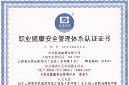 职业健康安全管理体系认